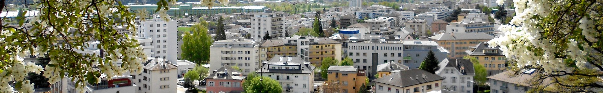 sierre-flowers-web