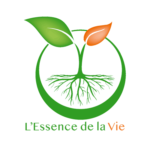 Erstellung der Website L'Essence de la Vie